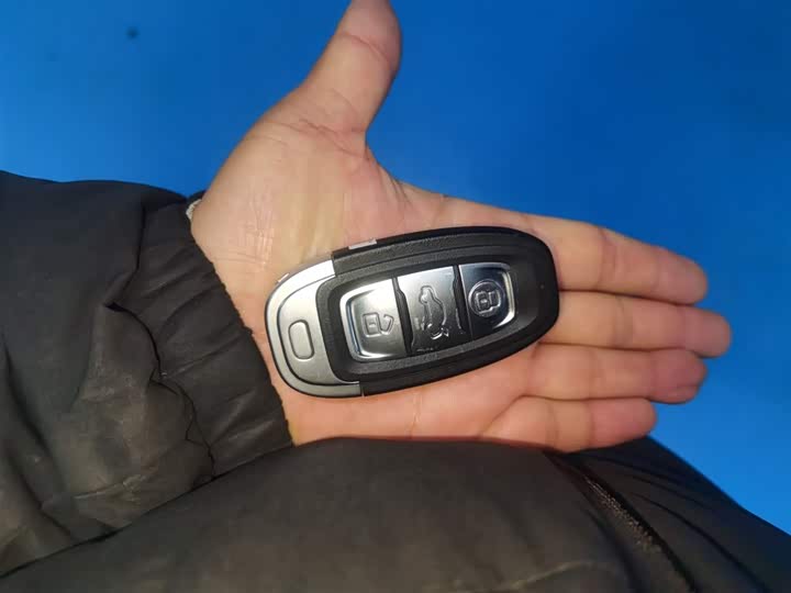 Hongqi E-QM5 2024 2024款 500km 出行版