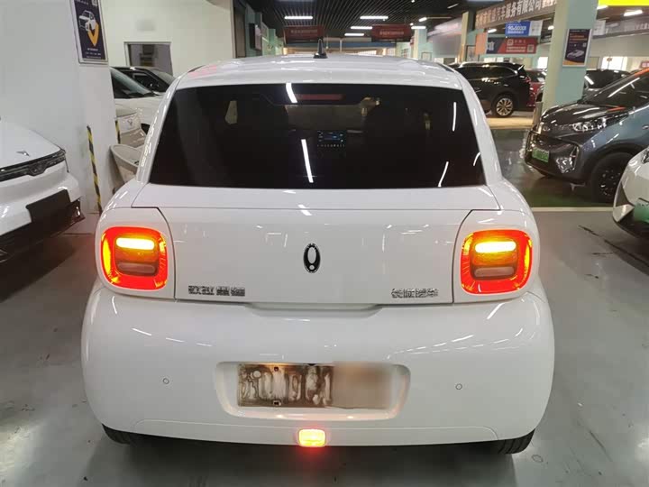 Ora Black Cat 2022 2022款 改款 301km 萌宠版 磷酸铁锂