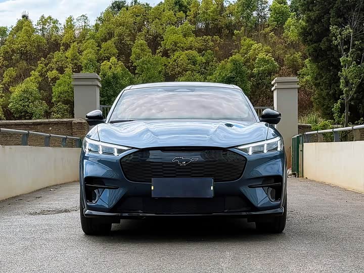 Ford Mustang Mach-E 2021 2021款 GT