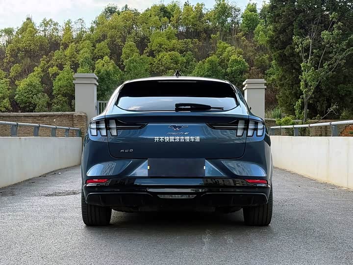 Ford Mustang Mach-E 2021 2021款 GT