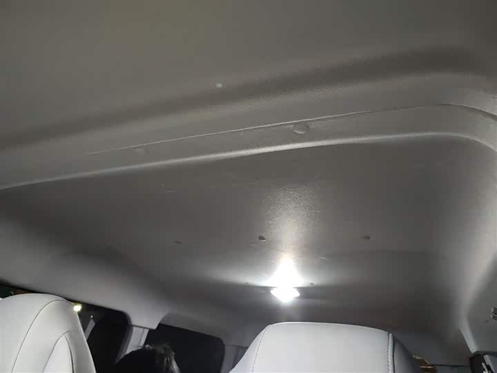 Maxus Dana V1 2025 2025款 低顶 多功能版 42kWh