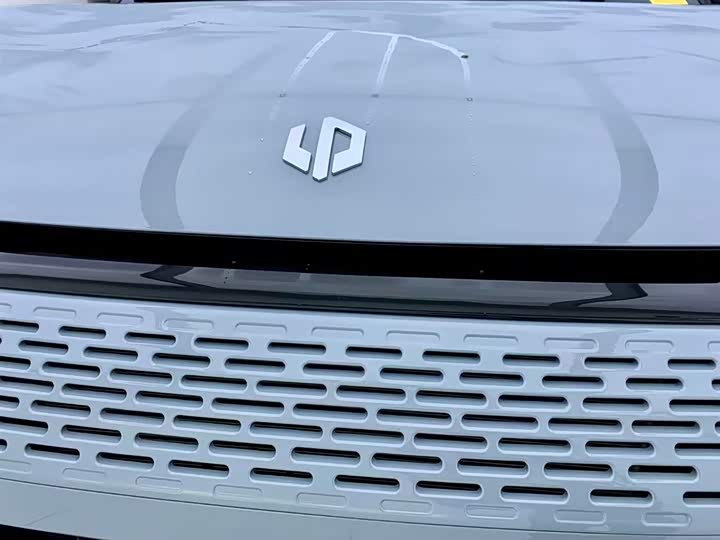 Leapmotor C11 2024 2024款 增程 300尊享版