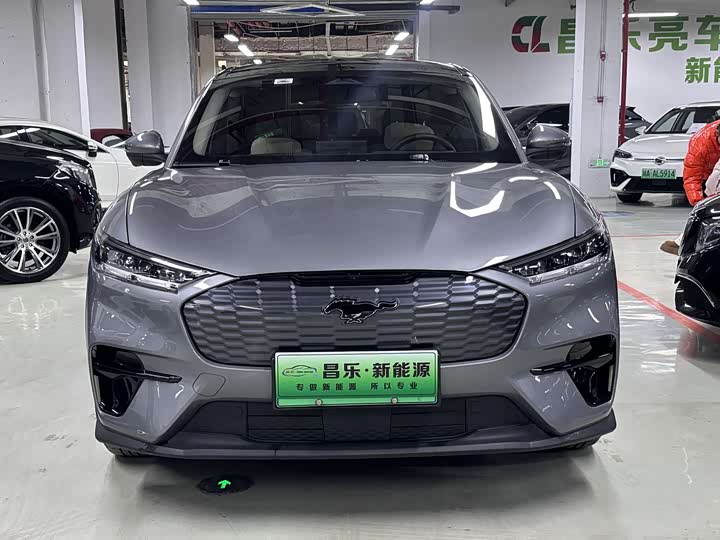 Ford Mustang Mach-E 2021 2021款 无疆后驱版(长续航)