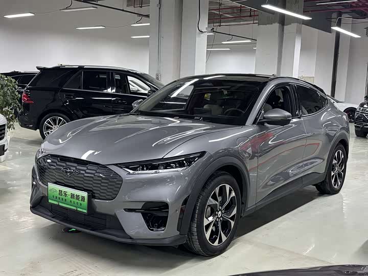 Ford Mustang Mach-E 2021 2021款 无疆后驱版(长续航)