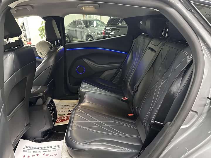 Ford Mustang Mach-E 2021 2021款 无疆后驱版(长续航)