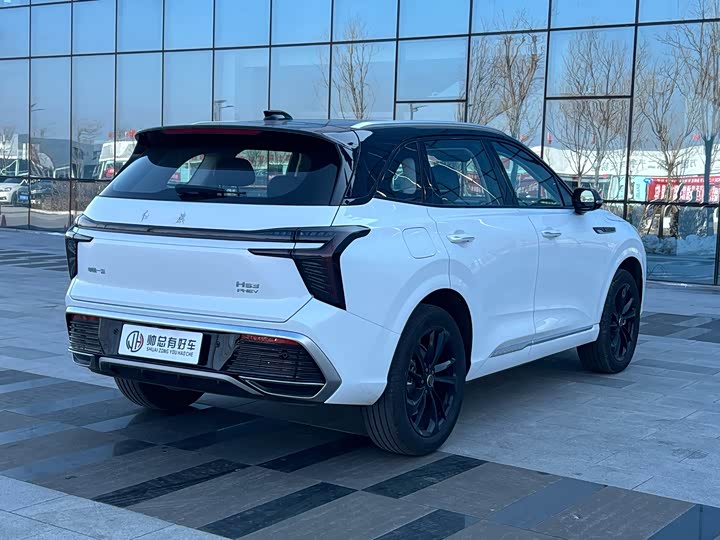 Hongqi HS3 Hybrid 2025 2025款 117km 劲为PLUS版