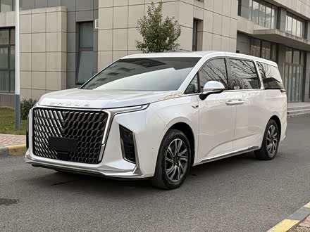 Maxus G90 2022 2022款 2.0T 星际旗舰版