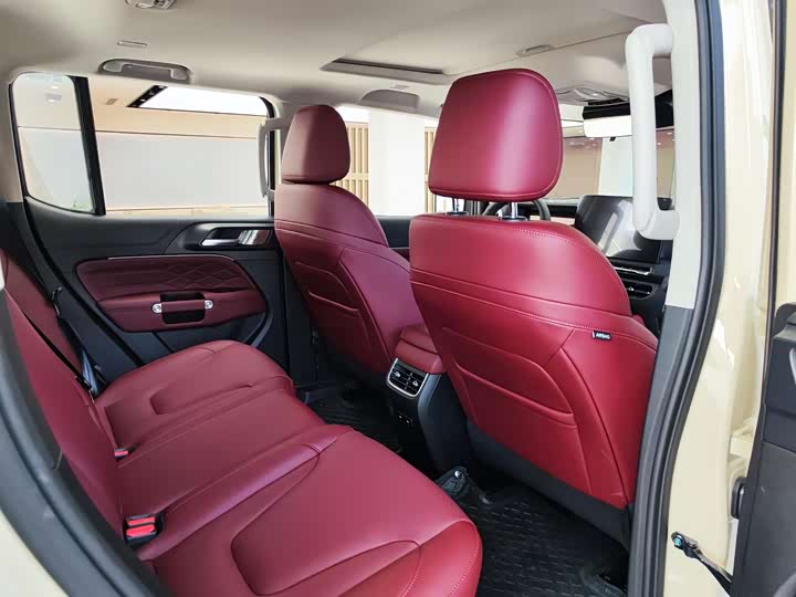 Tank 300 2025 2025款 2.0T 汽油征服者