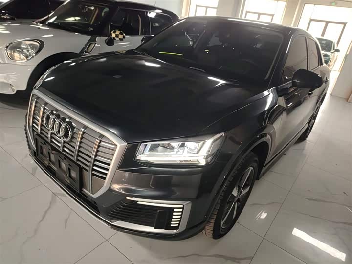 Audi Q2L e-tron 2019 2019款 Q2L e-tron 纯电智享型