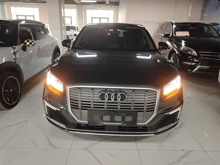Audi Q2L e-tron 2019 2019款 Q2L e-tron 纯电智享型