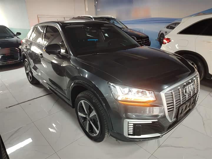 Audi Q2L e-tron 2019 2019款 Q2L e-tron 纯电智享型