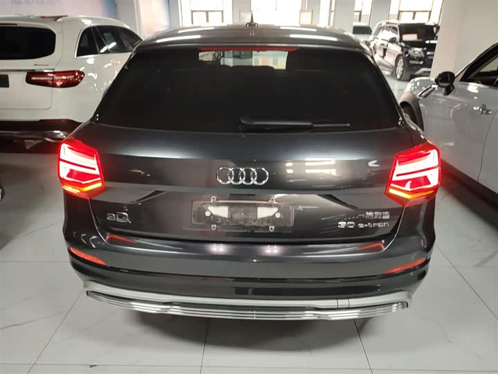 Audi Q2L e-tron 2019 2019款 Q2L e-tron 纯电智享型