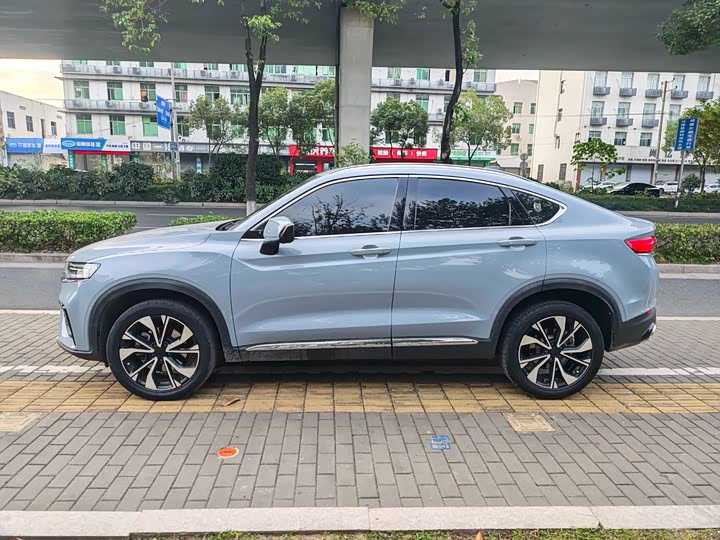 Geely Tugella S 2021 2021款 2.0TD DCT两驱闪电版