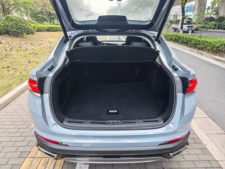 Geely Tugella S 2021 2021款 2.0TD DCT两驱闪电版