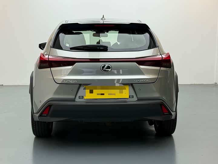 Lexus UX 2022 2022款 260h 探·趣版