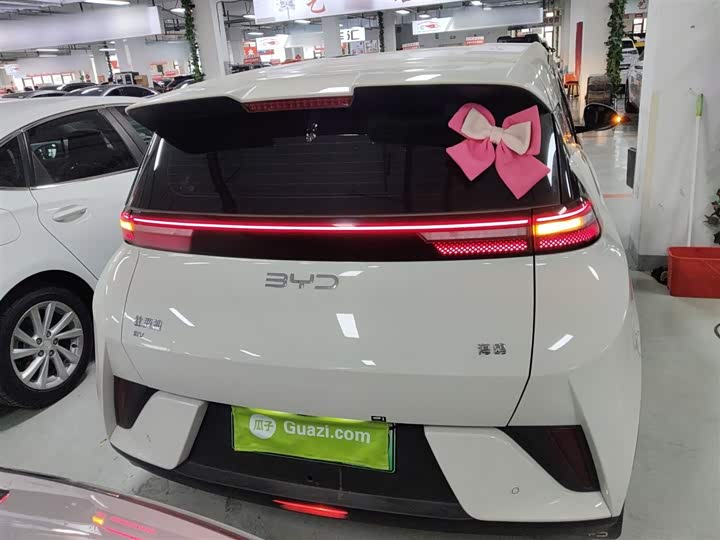 BYD Seagull 2025 2025款 305km 活力版