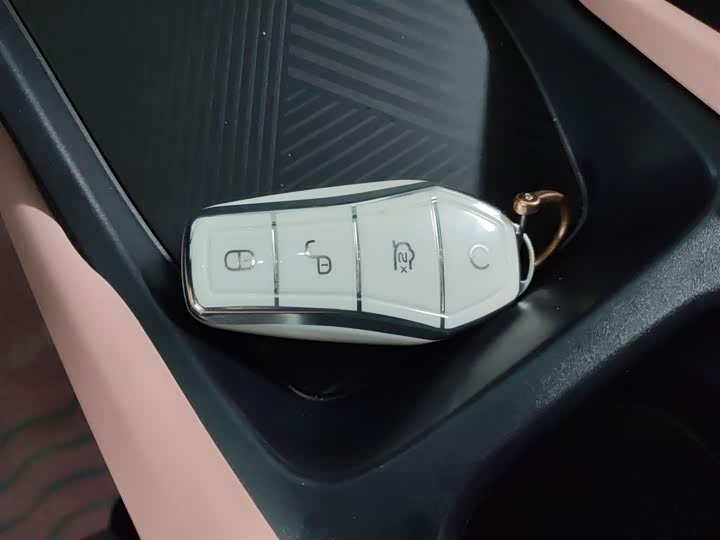 BYD Seagull 2025 2025款 305km 活力版