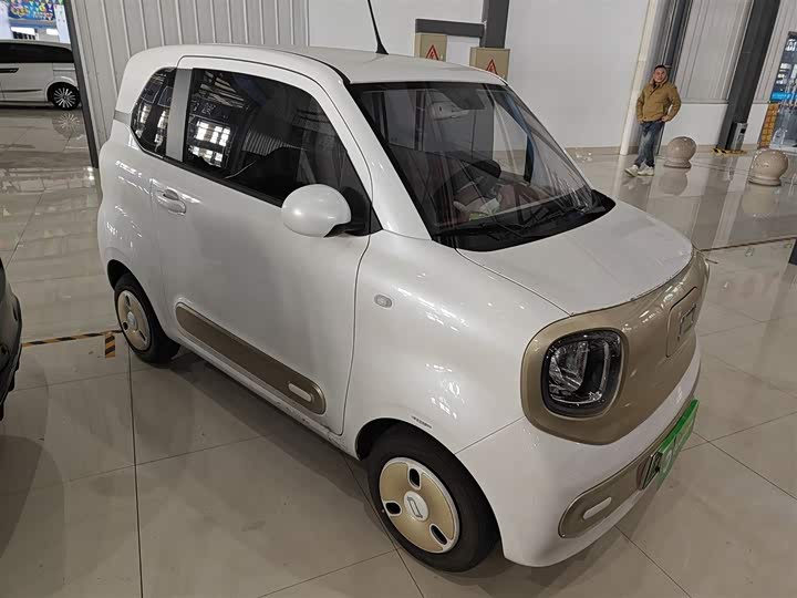 Bestune Pony 2026 2026款 222km 炫彩马