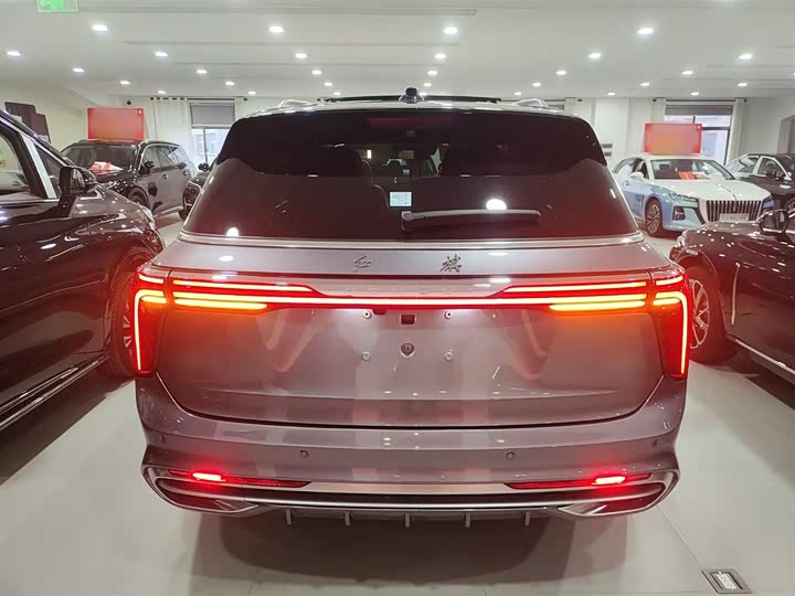 Hongqi E-HS9 2024 2024款 660km 旗畅版 六座
