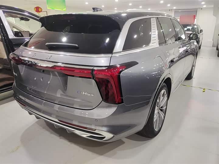 Hongqi E-HS9 2024 2024款 660km 旗畅版 六座