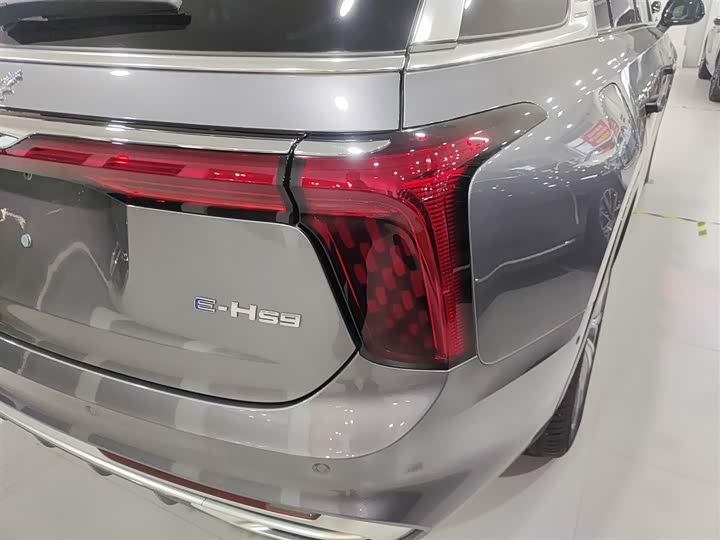 Hongqi E-HS9 2024 2024款 660km 旗畅版 六座