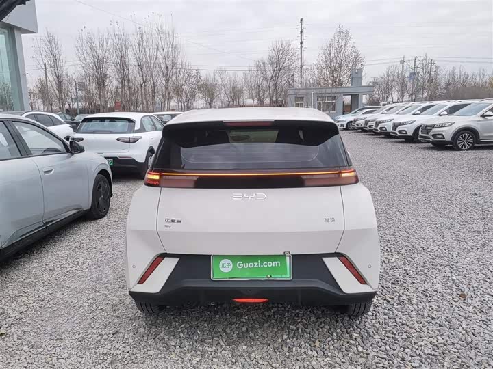 BYD Seagull 2025 2025款 405km 飞翔版