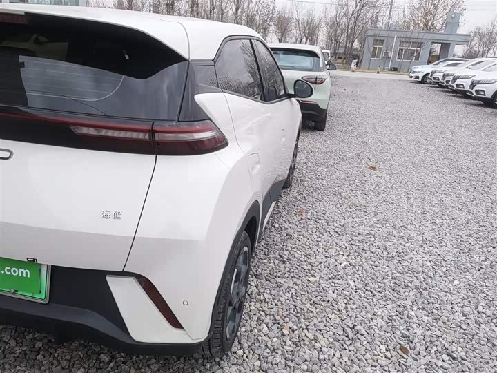 BYD Seagull 2025 2025款 405km 飞翔版