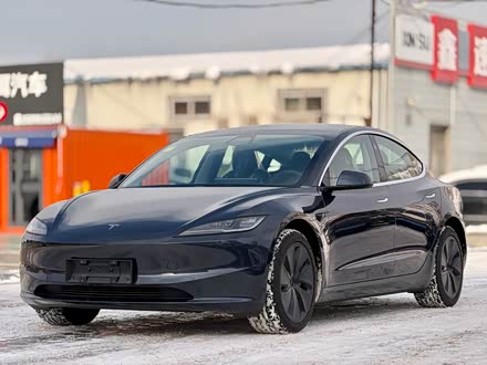 Tesla Model 3 2025 2025款 后轮驱动版