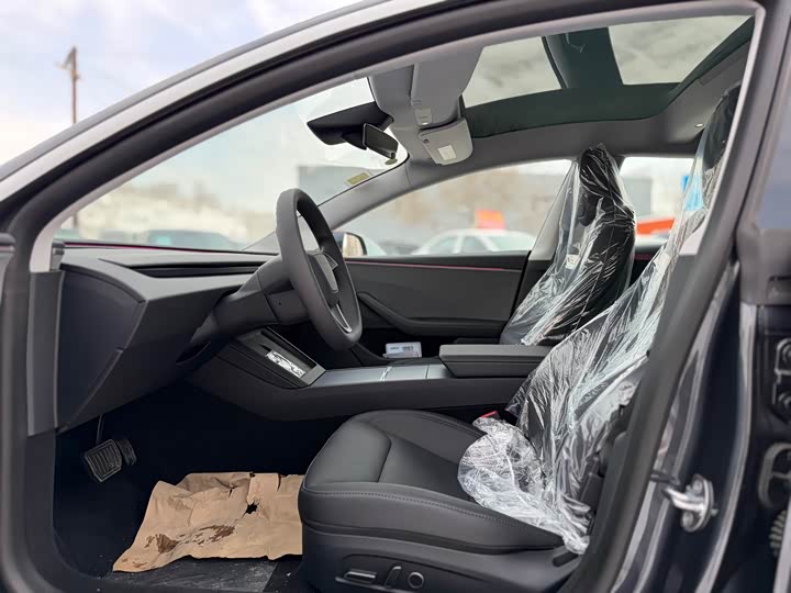 Tesla Model 3 2025 2025款 后轮驱动版