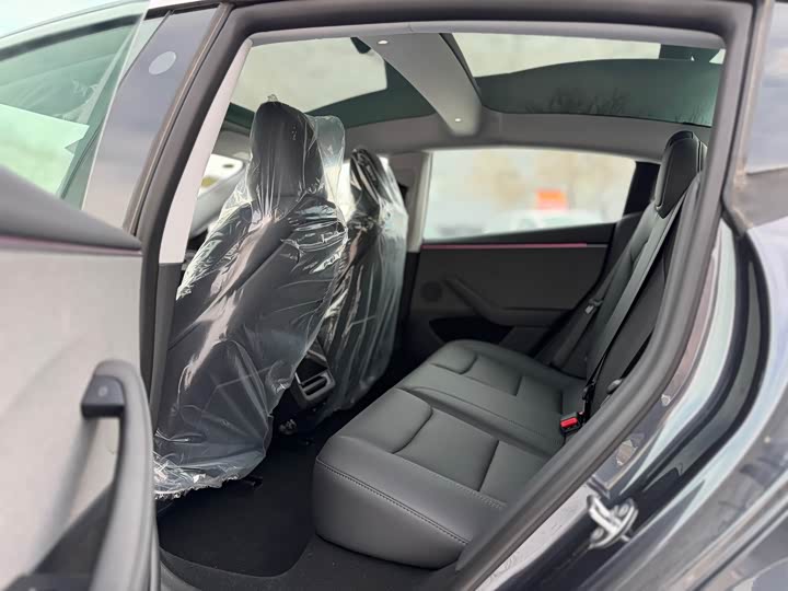 Tesla Model 3 2025 2025款 后轮驱动版