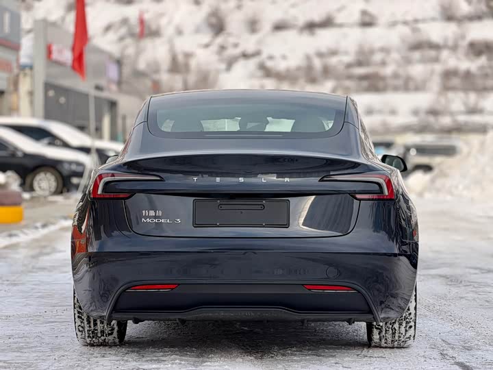 Tesla Model 3 2025 2025款 后轮驱动版