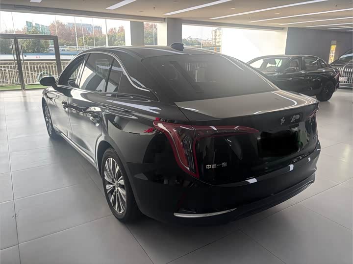 Hongqi E-QM5 2025 2025款 500km 出行版