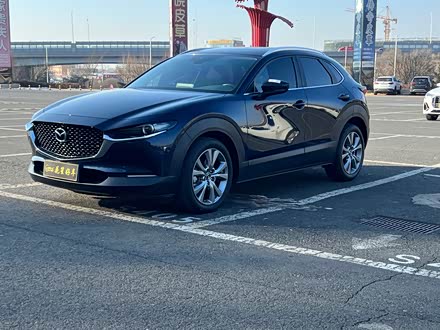 Mazda CX-30 2022 2022款 2.0L 自动嘉悦型