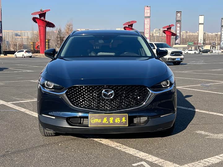 Mazda CX-30 2022 2022款 2.0L 自动嘉悦型