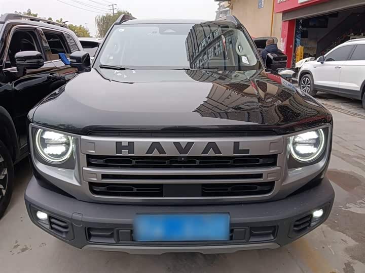 Haval Dargo 2024 2024款 2.0T DCT中华田园犬版