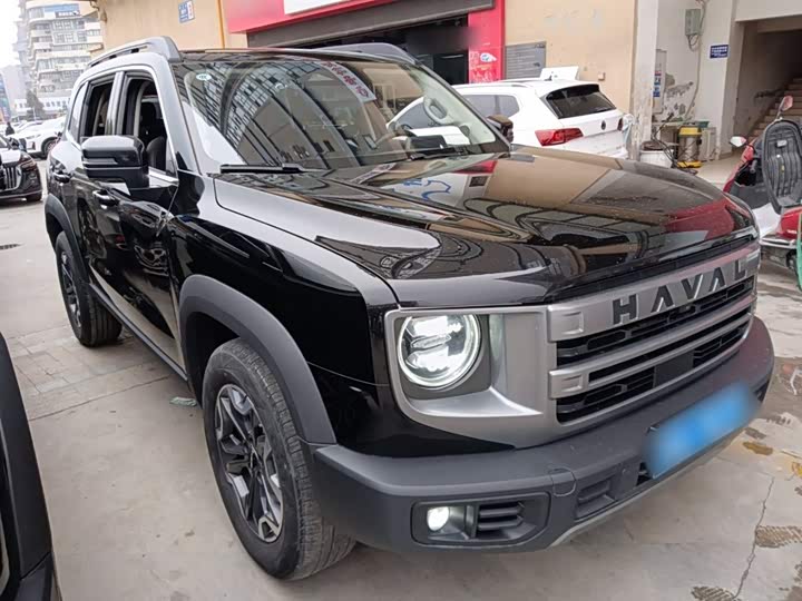 Haval Dargo 2024 2024款 2.0T DCT中华田园犬版