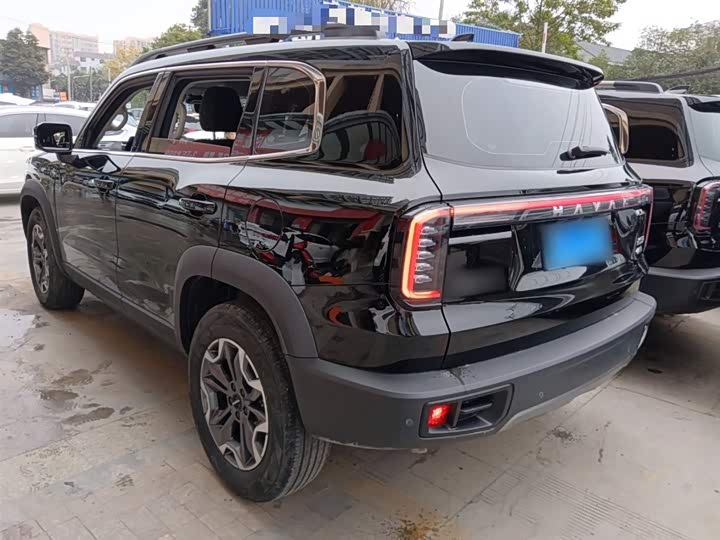 Haval Dargo 2024 2024款 2.0T DCT中华田园犬版