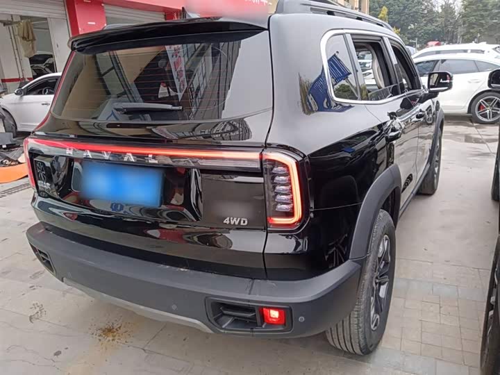 Haval Dargo 2024 2024款 2.0T DCT中华田园犬版