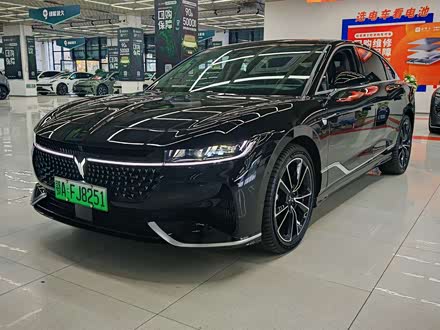 Voyah Passion 2024 2024款 PHEV 四驱超长续航旗舰版