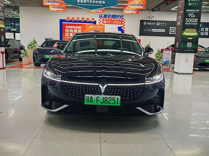 Voyah Passion 2024 2024款 PHEV 四驱超长续航旗舰版