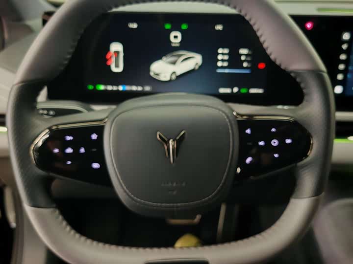 Voyah Passion 2024 2024款 PHEV 四驱超长续航旗舰版