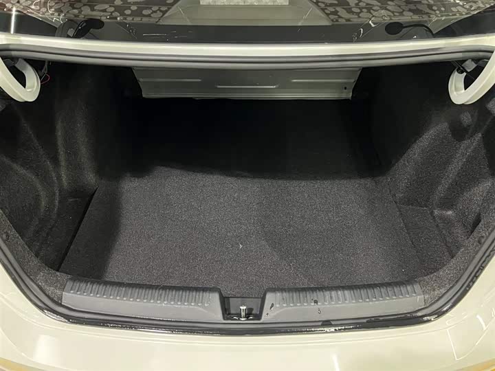 Volkswagen Santana 2021 2021款 1.5L 自动风尚版