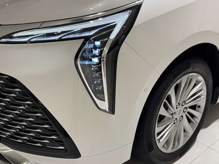 Buick GL8 Century 2023 2023款 2.0T 七座蕴世版