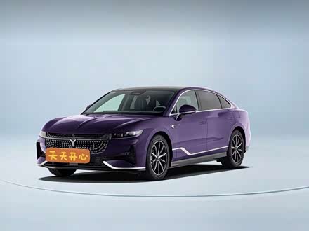 Voyah Passion 2024 2024款 PHEV 四驱超长续航旗舰版