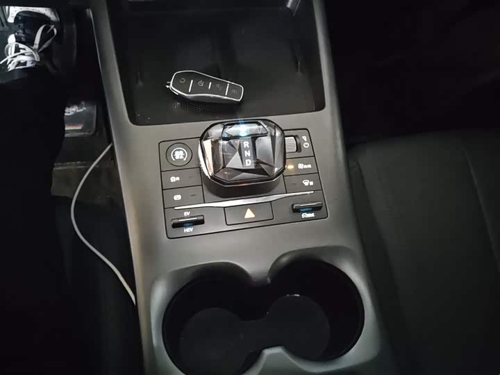 BYD Qin Plus 2025 2025款 DM-i 智驾版 55KM领先型