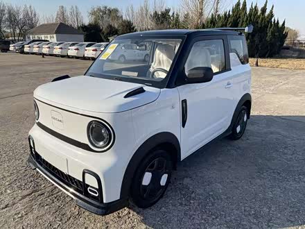 Geely Galaxy Panda Mini 2025 2025款 210km 熊猫卡丁