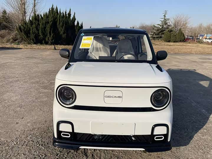 Geely Galaxy Panda Mini 2025 2025款 210km 熊猫卡丁