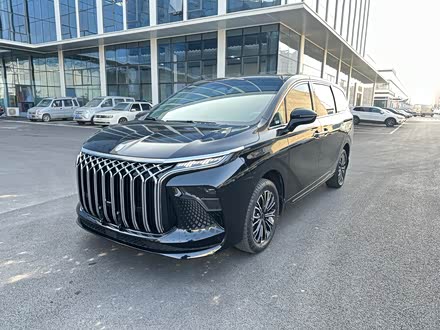 Dongfeng Forthing Xinghai V9 2024 2024款 1.5TD 200km 中国结系列 豪华型