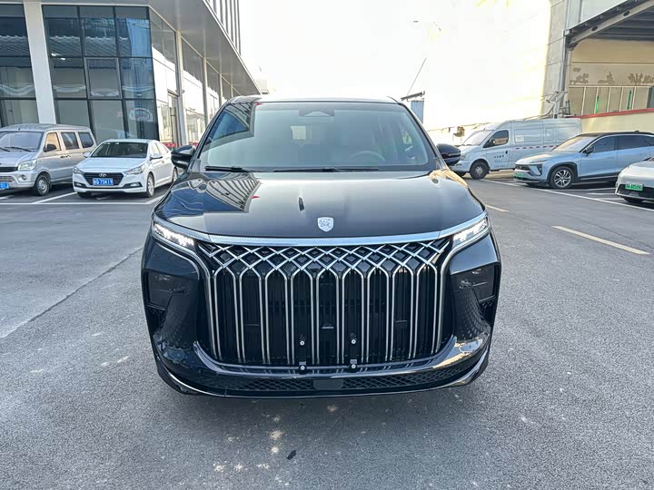 Dongfeng Forthing Xinghai V9 2024 2024款 1.5TD 200km 中国结系列 豪华型