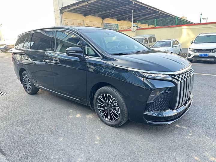 Dongfeng Forthing Xinghai V9 2024 2024款 1.5TD 200km 中国结系列 豪华型